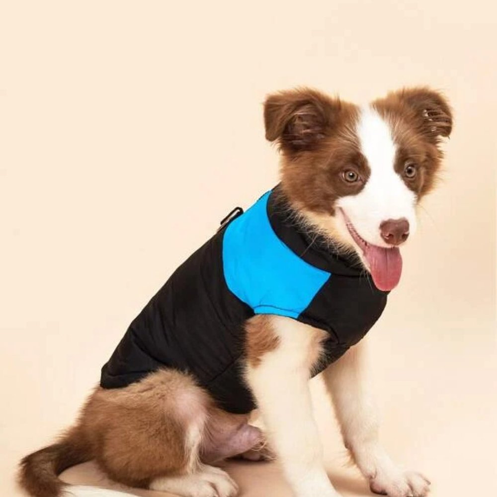 ATTENTION DOG LOVERS!  DOGGIE PUFFER VEST